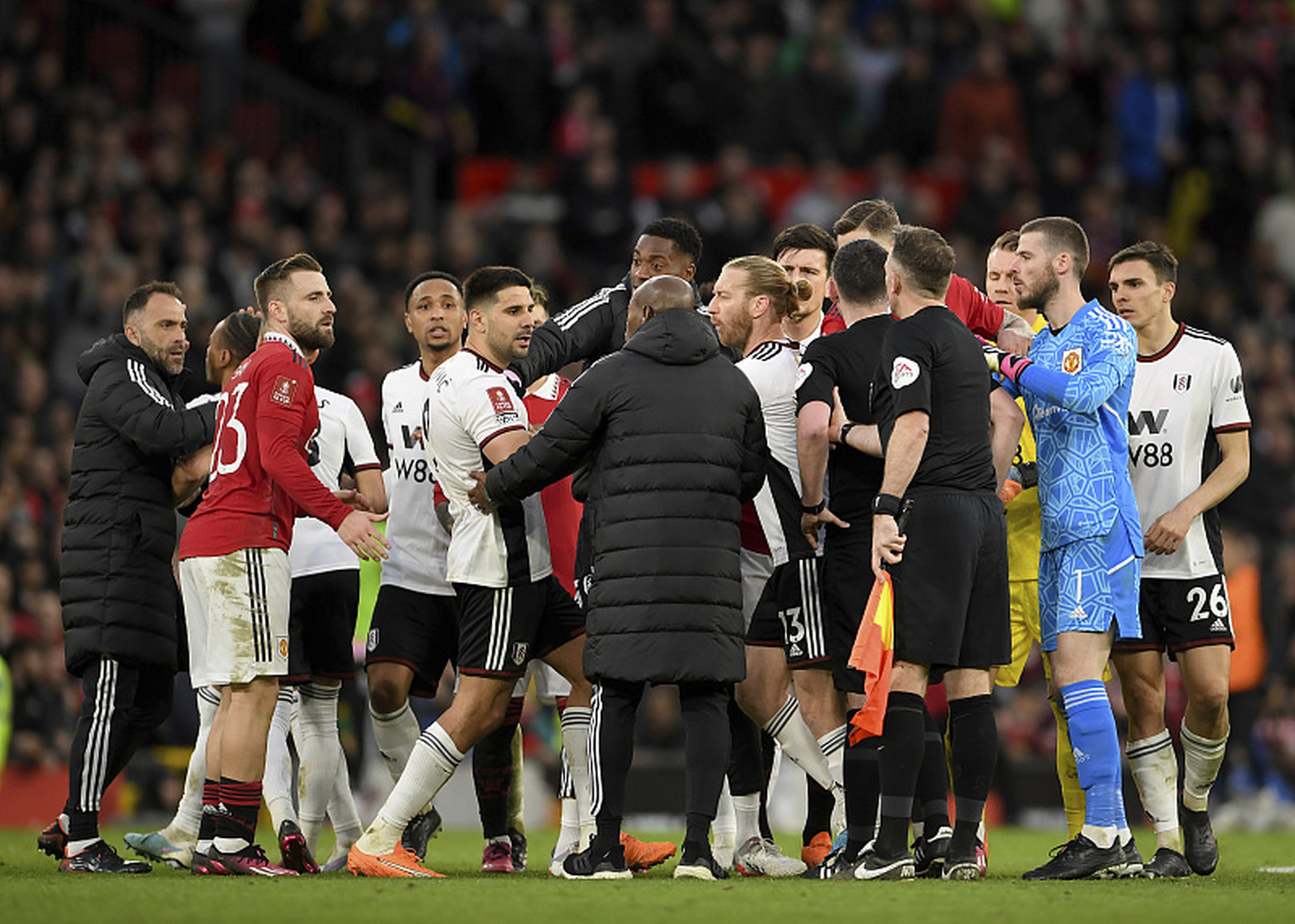 雷速体育- 蒂姆获得过大满贯吗 